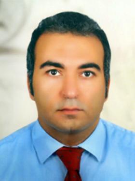 محمد سالم عبادة