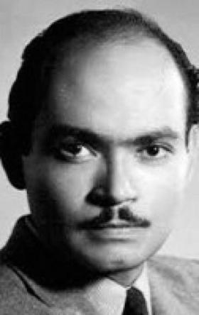 محمد كامل حسن المحامي