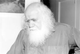 محمد رضا الحكيمي