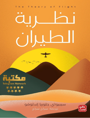 نظرية الطيران