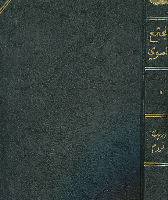 المجتمع السوي