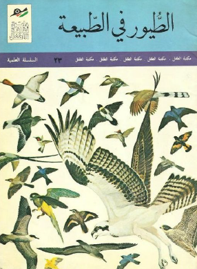 الطيور في الطبيعة