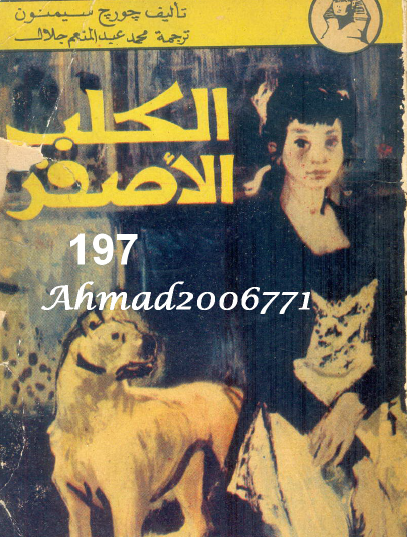 الكلب الأصفر