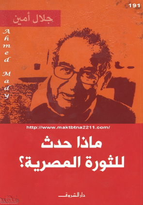 ماذا حدث للثورة المصرية ؟