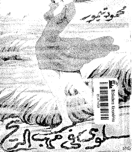 سلوى في مهب الريح