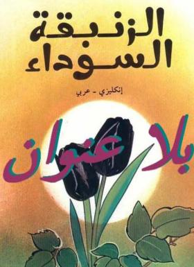 الزنبقة السوداء