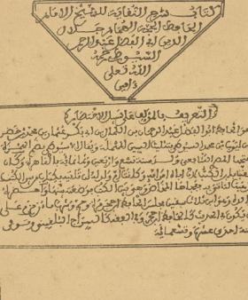 شرح النقاية